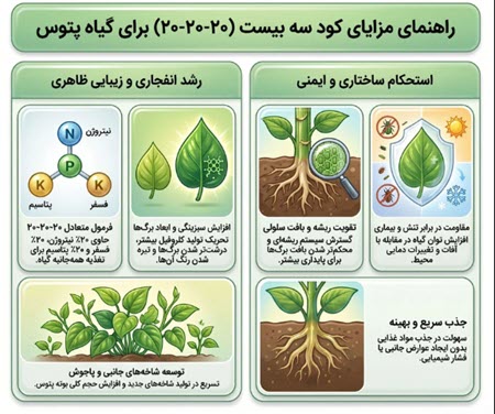مزایای کود سه بیست برای پتوس