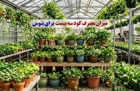 میزان مصرف کود سه بیست برای پتوس