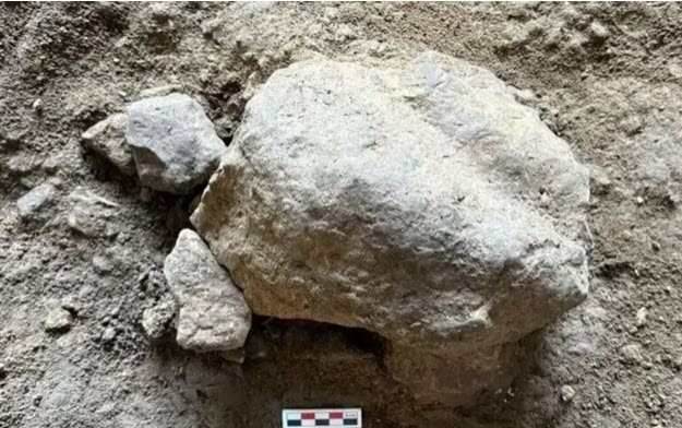 اخبار،اخبار جدید،اخبار روز اخبار،اخبار جدید،اخبار روز