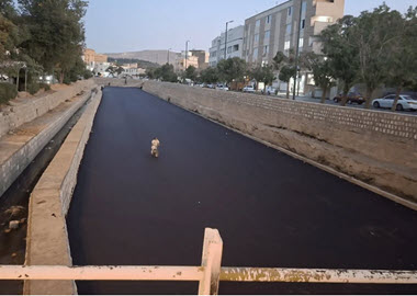 اخبار،اخبار جدید،اخبار روز اخبار،اخبار جدید،اخبار روز