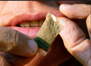 اخبار،اخبار جدید،اخبار روز اخبار،اخبار جدید،اخبار روز