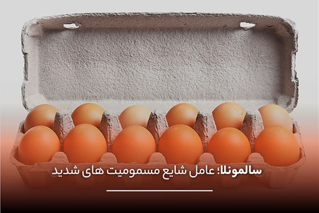 سالمونلا، اشرشیا کلی و لیستریا از مهمترین عوامل مسمومیت غذایی در ایران سالمونلا، اشرشیا کلی و لیستریا از مهمترین عوامل مسمومیت غذایی در ایران