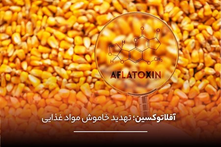 مسمومیت با قارچهای سمی، آفلاتوکسین و سموم طبیعی مواد غذایی مسمومیت با قارچهای سمی، آفلاتوکسین و سموم طبیعی مواد غذایی