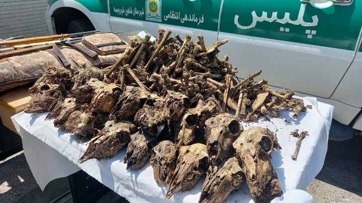 اخبار،اخبار جدید،اخبار روز اخبار،اخبار جدید،اخبار
روز