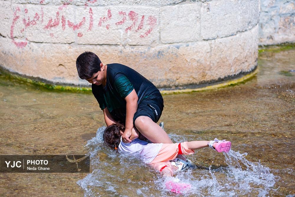 اخبار،اخبار جدید،اخبار روز