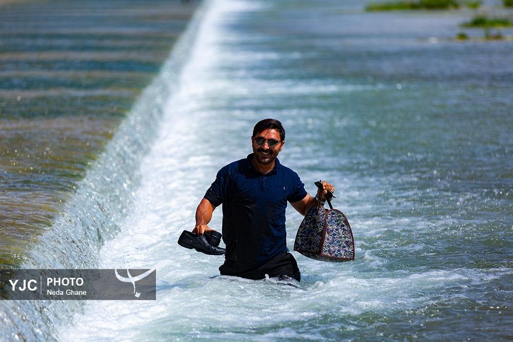 اخبار،اخبار جدید،اخبار روز