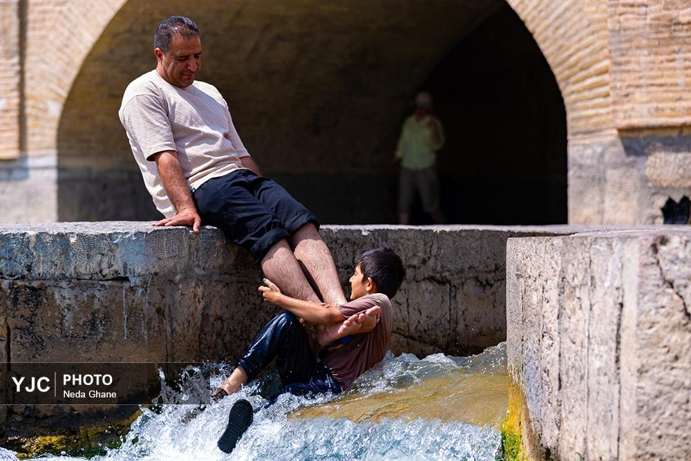 اخبار،اخبار جدید،اخبار روز