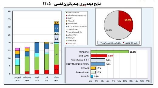 اخبار،اخبار جدید،اخبار روز