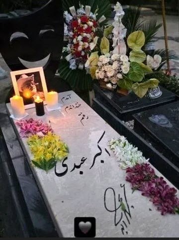 اخبار،اخبار جدید،اخبار روز