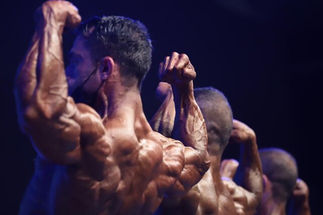 اخبار،اخبار جدید،اخبار روز اخبار،اخبار جدید،اخبار روز