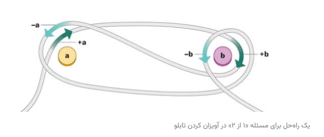 اخبار،اخبار جدید،اخبار روز اخبار،اخبار جدید،اخبار روز