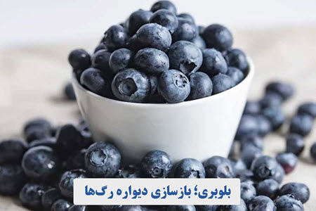 بلوبری؛ بازسازی دیواره رگ‌ها