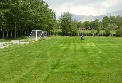 اخبار،اخبار جدید،اخبار روز
