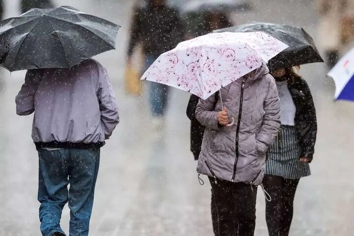 اخبار،اخبار جدید،اخبار روز