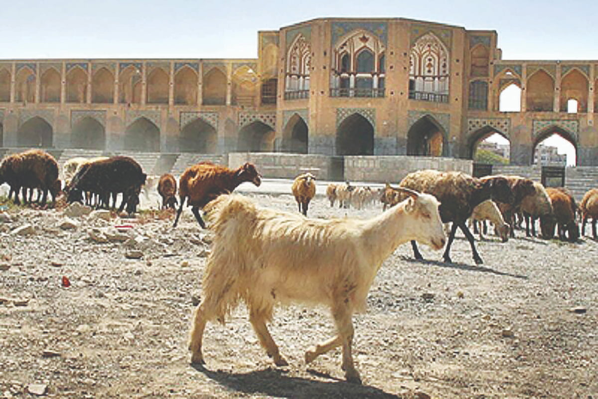اخبار،اخبار جدید،اخبار روز اخبار،اخبار جدید،اخبار روز