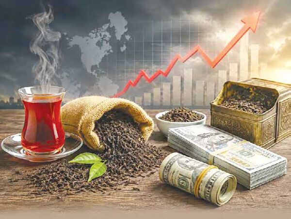 اخبار،اخبار جدید،اخبار روز اخبار،اخبار جدید،اخبار روز