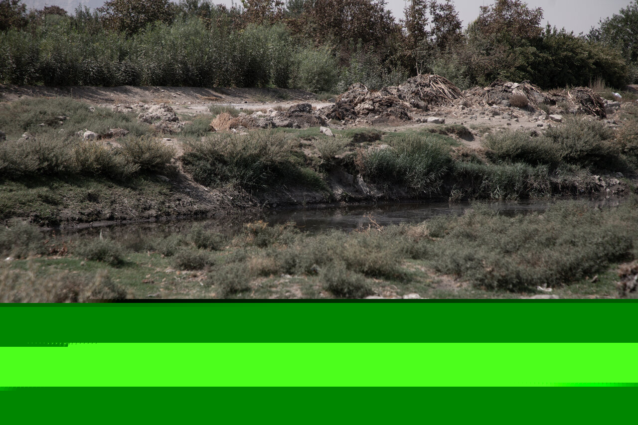 اخبار،اخبار جدید،اخبار روز اخبار،اخبار جدید،اخبار روز