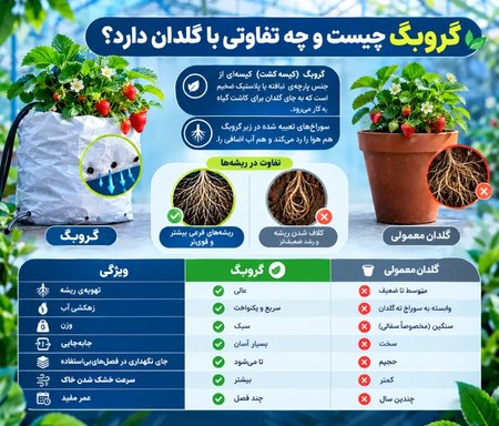گروبگ چیست و چه تفاوتی با گلدان دارد؟ گروبگ چیست و چه تفاوتی با گلدان دارد؟