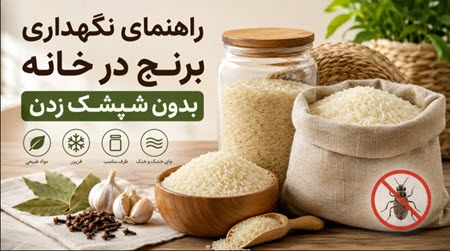 راهنمای نگهداری برنج در خانه بدون شپشک زدن راهنمای نگهداری برنج در خانه بدون شپشک زدن