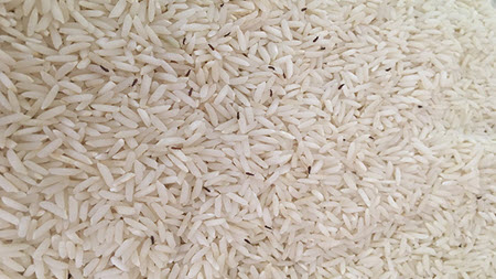 شپشک برنج چیست و چه شکلی است؟ شپشک برنج چیست و چه شکلی است؟
