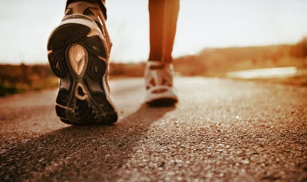 اخبار،اخبار جدید،اخبار روز اخبار،اخبار جدید،اخبار روز