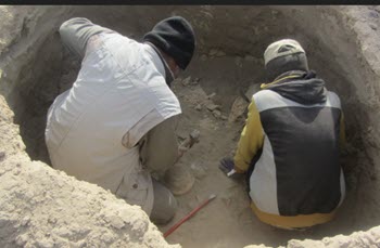 اخبار،اخبار جدید،اخبار روز اخبار،اخبار جدید،اخبار روز