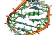 تولد نسل بعدی تراشه های منطقی از DNA  