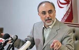 صالحی: مصر هر لحظه اعلام کند؛ ما همان وقت سفیر اعزام می کنیم