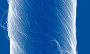 ساخت ماهیچه مصنوعی با نخ های نانولوله كربنی