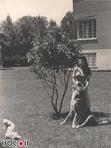 محمود احمدی نژاد