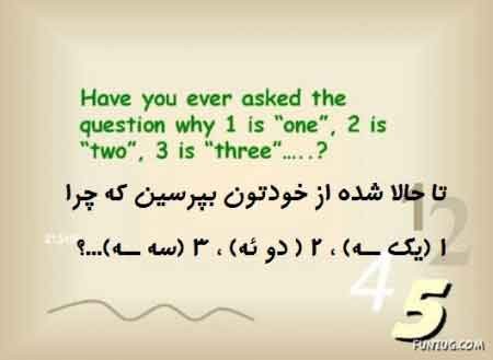 اخبار,اخبار جدید,اخبار جالب