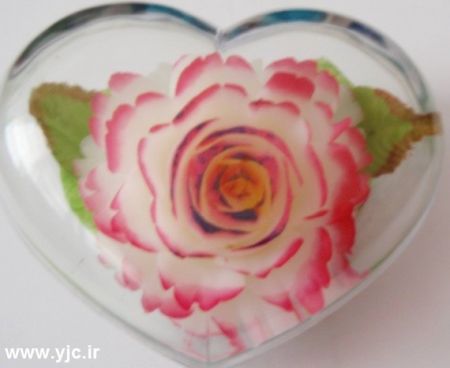 سرگرمی های عجیب سرگرمی های عجیب