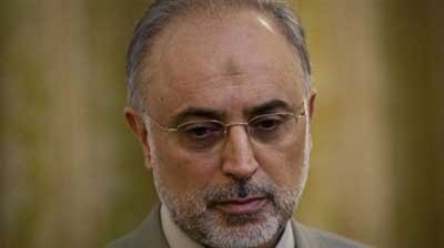 اخبار,اخبار جدید,اخبار جالب