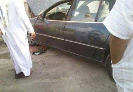 اخبار,اخبار جدید,اخبار جالب