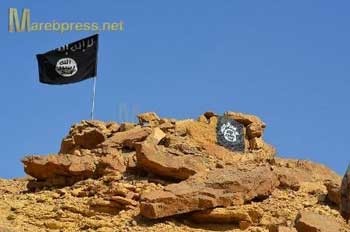   اخبار,اخبار جدید,اخبار جالب