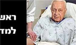 

اخبار,اخبار جدید,اخبار جالب