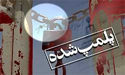 اخبار,اخبار جدید,اخبار جالب