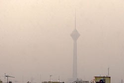 اخبار,اخبار جدید,اخبار جالب