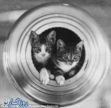 فلیکر ,عکس های کمیاب
