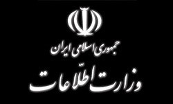 اخبار,اخبارجدید,اخبار جالب