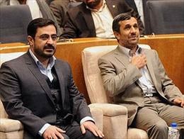 اخبار,اخبارجدید,اخبار جالب