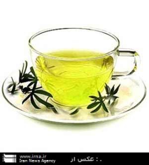 اخبار,اخبار داغ,اخبار جدید