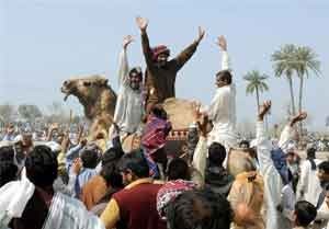 کشتی شترها, تصاویر کشتی شترها