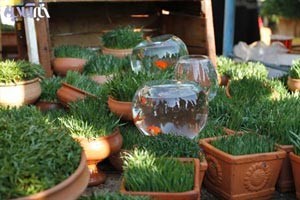 سیاسیت,اخبار سیاسی,طنز سیاسی