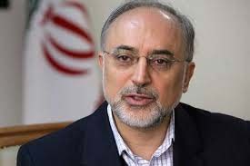 اشتون,نتایج مذاکرات با 1+5, انتخابات در ايران
