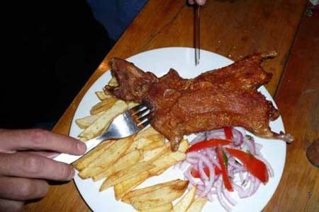 گوشت خوكچه هندی,رونق مصرف گوشت خوكچه هندی در آمریکا