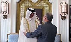 اخبارسیاسی,دیدار صالحی با امیر جدید قطر
