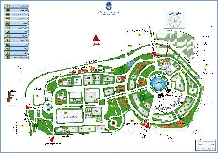 اخبار,اخبارجدید,اخبار جالب