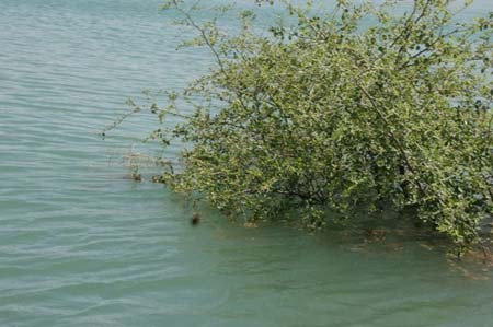 سد گتوند در استان خوزستان,درياچه گتوند,بیکارشدن روستاییان