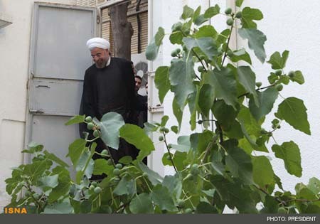 ورود حسن روحانی به ساختمان ریاست جمهوری,تصاویر ورود حسن روحانی به ساختمان ریاست جمهوری